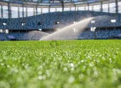 王一博韩红,携手助力郑,共抗灾情,宝威体育官方,宝威体育在线官网,宝威体育线上,宝威体育APP