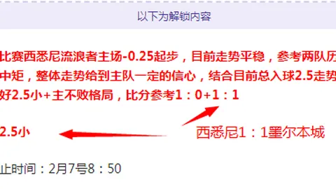 NBA焦点对决：黄蜂激战奇才，揭秘关键战局！