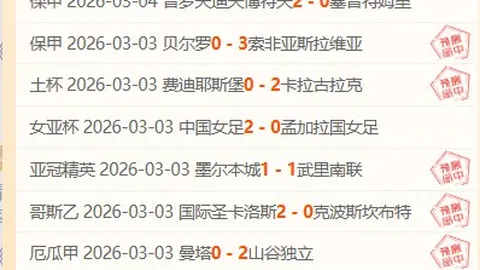 威廉二世主场迎战海牙，专家期号分析及推荐