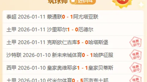 “瓦塞尔快速融入赛事，表现卓越受保罗高度评价”